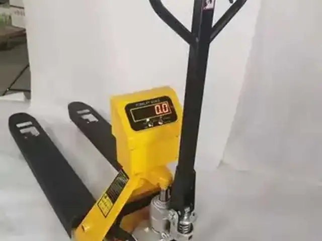 Рохля с весами 3000кг, Душанбе