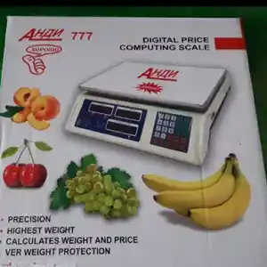 Весы Анди-777, Душанбе