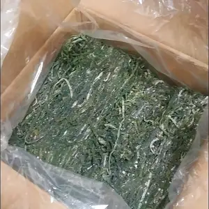 Морская капуста, Душанбе