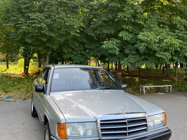 Mercedes-Benz W201