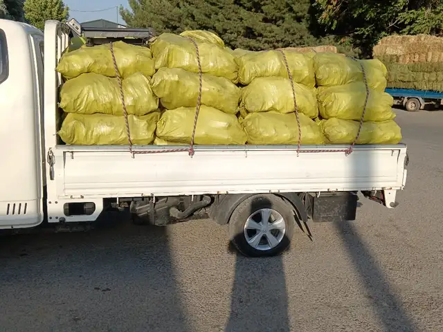 Ангишт, Хуҷанд