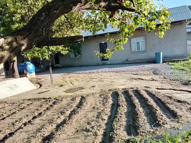 1 этажн. 3-комн. дом, 6 соток, дехаи чалчит, Ваҳдат