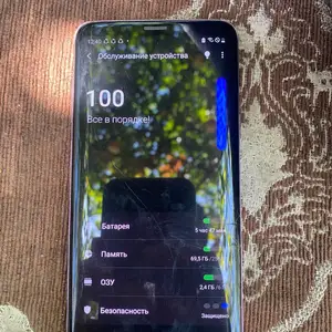 Samsung Galaxy S9 plus, Канибадам