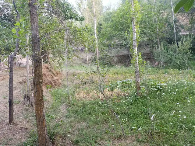 2 этажн. 2-комн. дом, 13 соток, деҳаи Кулоли Ҷамоати деҳоти Рӯдакӣ, Панҷакент - 5