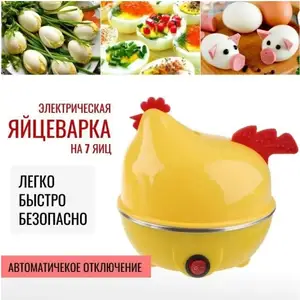 Электрическая яйцеварка, Душанбе