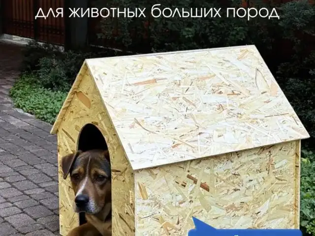 Будка для Собак, Душанбе