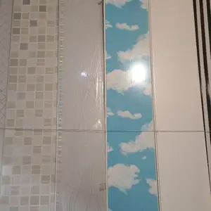 Пластиковый потолок, Душанбе
