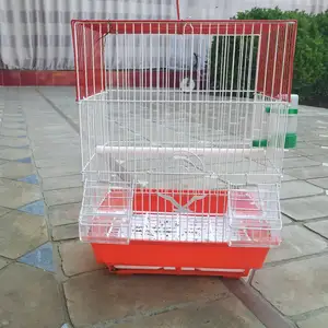 Клетка, Худжанд