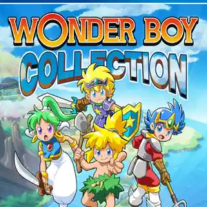 Игра Wonder boy collection для PS-4 / 6.72 / 9.00 / 11.00 / 11.52 / 13.00 /, Душанбе