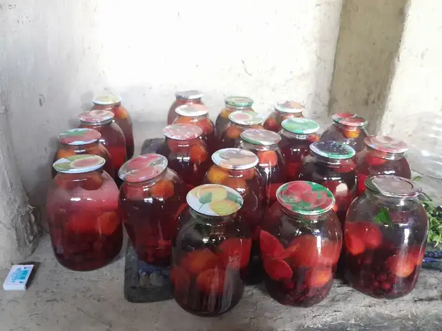 Компот, Панҷакент