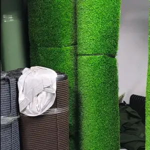 Искусственный газон, Душанбе