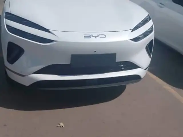 BYD Sea Lion 06