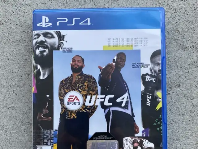 Игра UFC 4, Душанбе