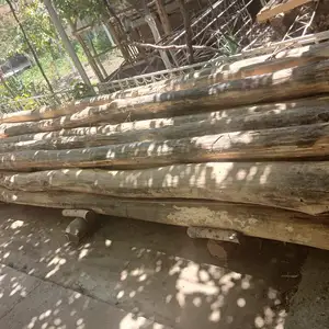 Чуби 5 метра барои хонасози, Худжанд