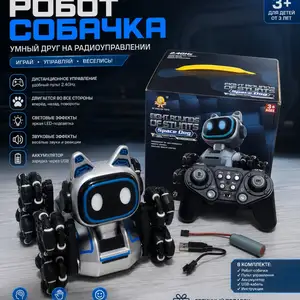 Робот собачка, Душанбе