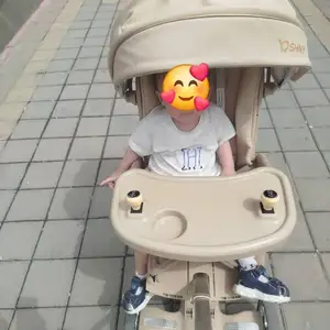 Электронная коляска, Душанбе