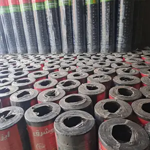 Толь, Душанбе