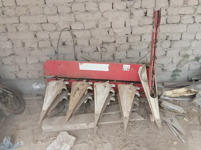 Жатка, Дӯстӣ (Ҷиликул)