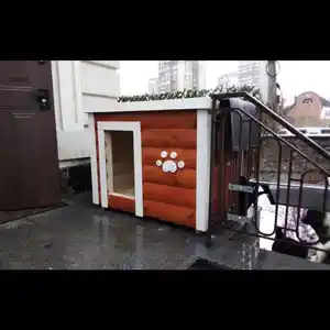 Будка для собак, Душанбе