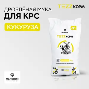 Кукурузная мука, Бободжон Гафуров