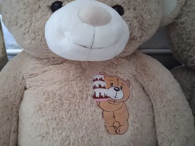 Плюшевый Медведь, Душанбе