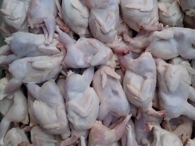 Гушти будана, Душанбе