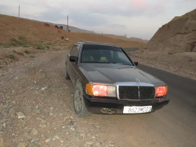 Mercedes-Benz W201