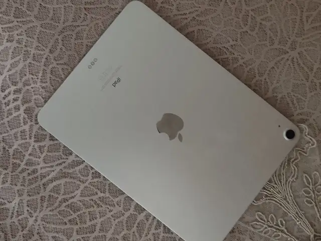 Планшет Apple iPad, Пяндж