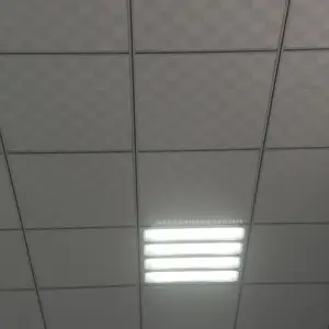 Лист Армстронг, Душанбе