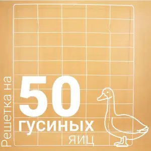 Решётка инкубатора, Душанбе