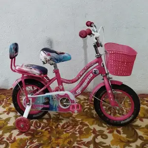 Велосипед, Душанбе
