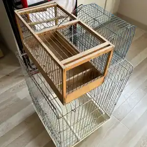 Клетка, Душанбе