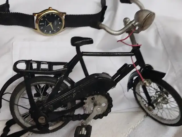 Велосипед, Душанбе