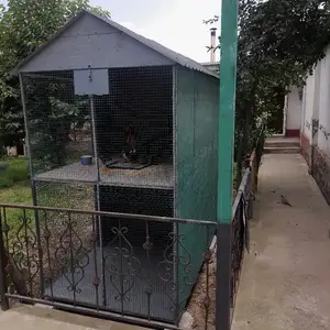 Клетка для голубей, Рудаки
