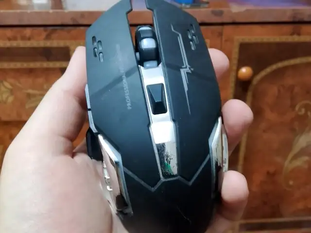 Игровая мышь, Душанбе