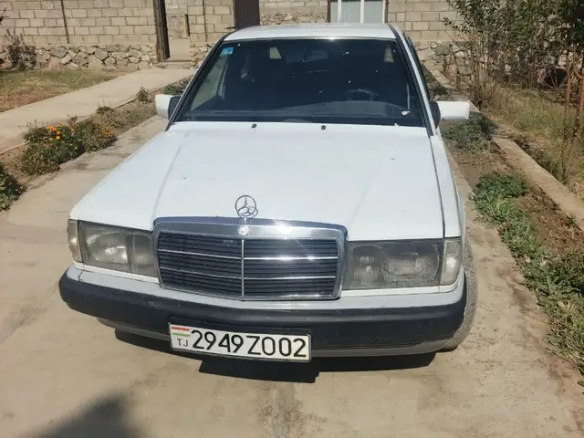 Mercedes-Benz W201