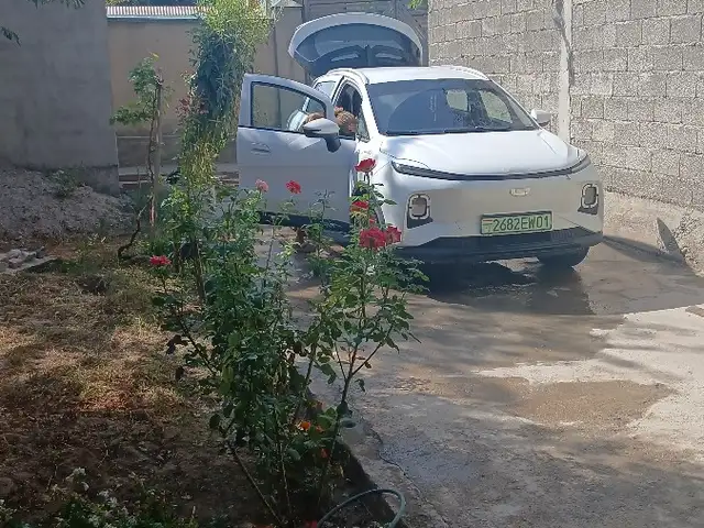 Geely Geometry