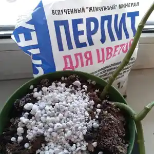 Перлит удобрение для растений, Худжанд