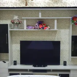 Телевизор Sony, Худжанд