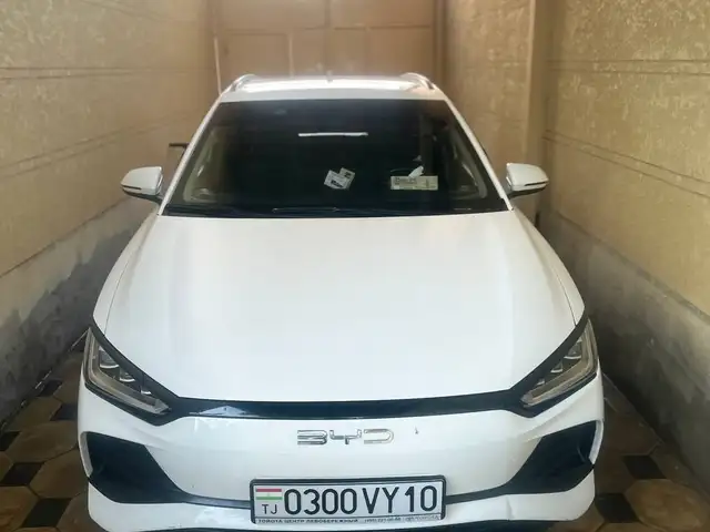 BYD E2