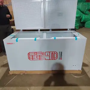 Морозильник Хинг 450, Душанбе