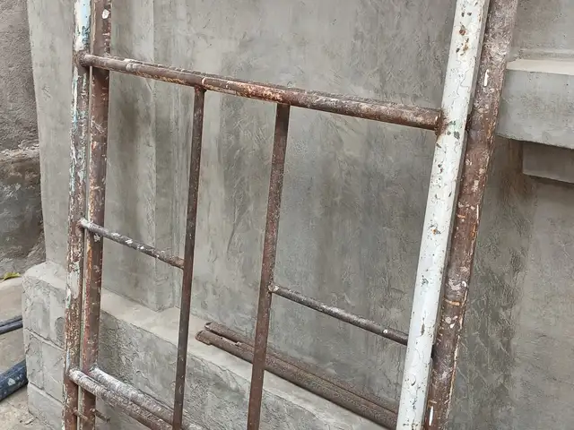 Леса, Душанбе