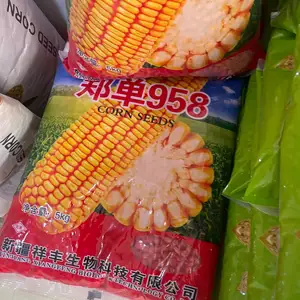 Чуворимакка, Душанбе