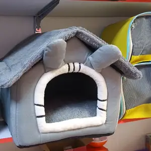Домик для кошек, Худжанд