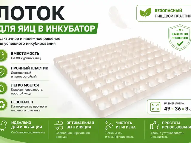 Лоток/Флейка/Ячейкаи тухми мурғ барои инкубатор, Душанбе