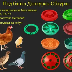 Обхурак/Поилка под банка мурғ чуҷа, Душанбе