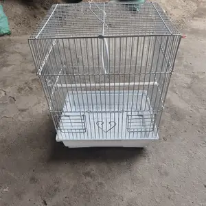 Клетка, Душанбе