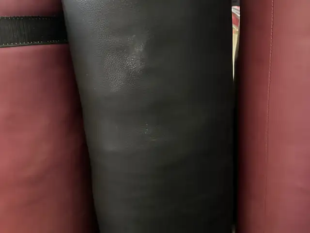 Груша боксёрская, Душанбе