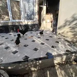 Хурус ва мург, Бобоҷон Ғафуров