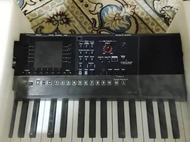 Синтезатор Roland E-A7, Пенджикент